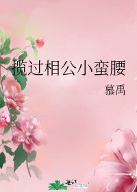 揽过相公小蛮腰